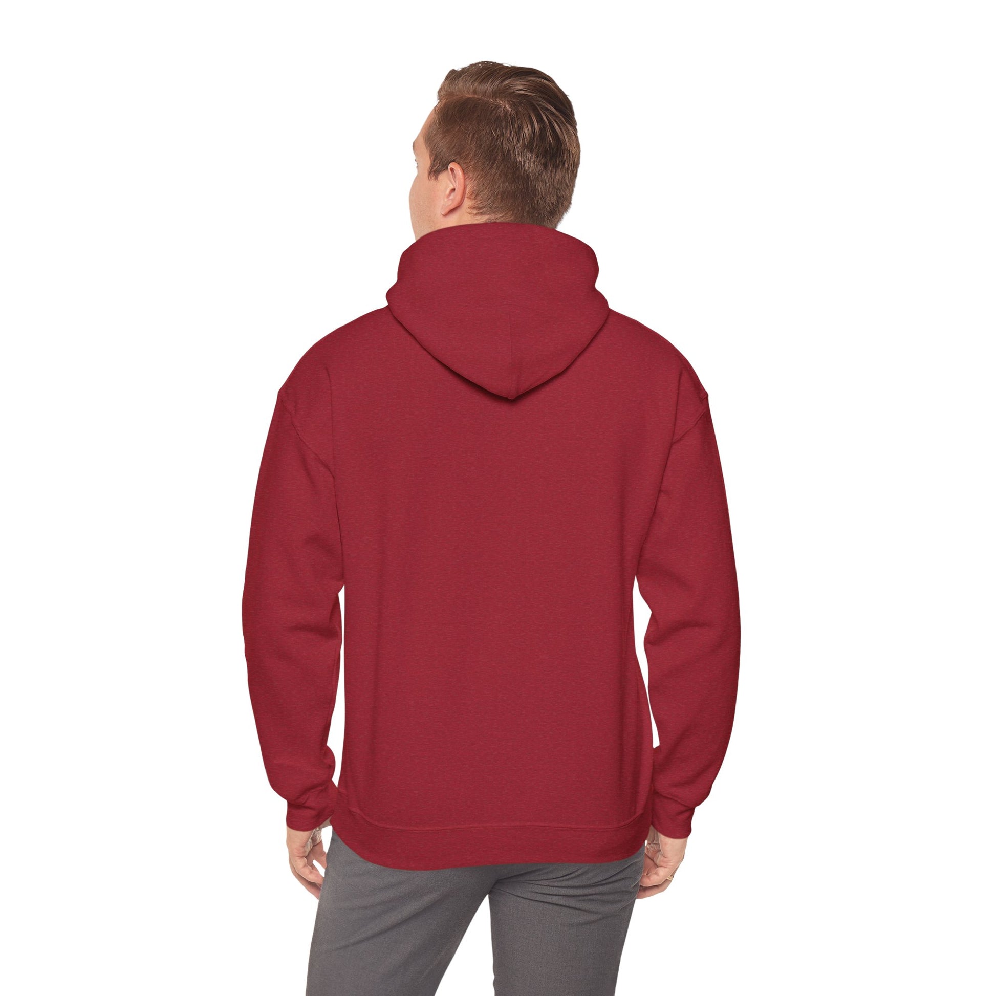 So Many Books Hooded Sweatshirt | Cozy Unisex Hoodie for Book Lovers - LUVEN